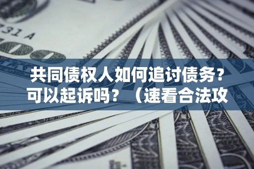 济南共同债权人如何追讨债务？可以起诉吗？（速看合法攻略）